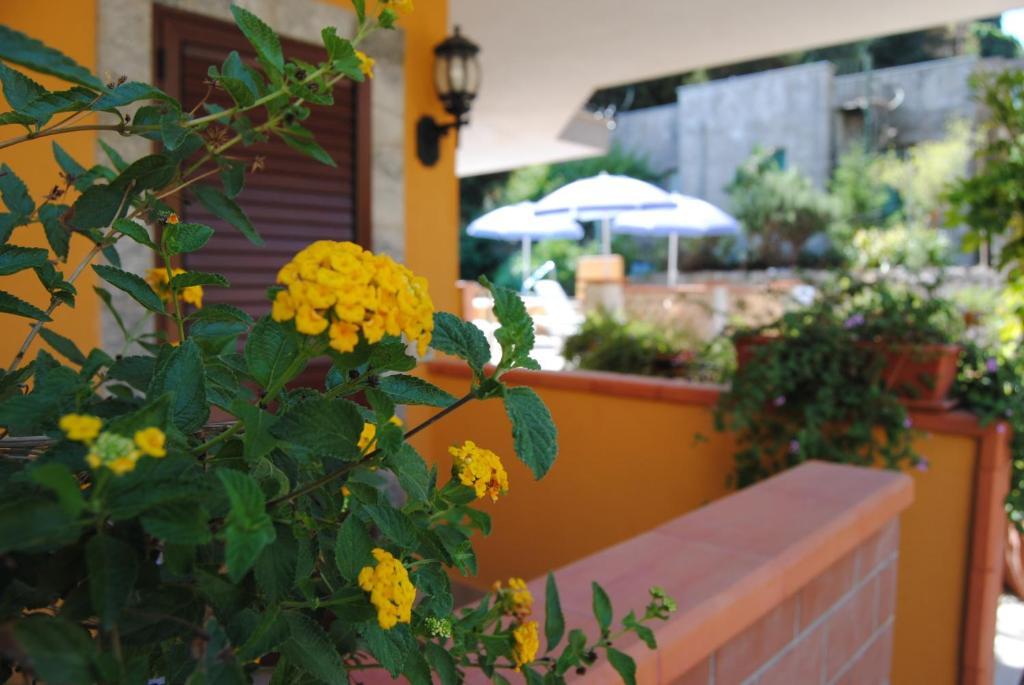 Residence Villa Il Glicine Таормина Номер фото